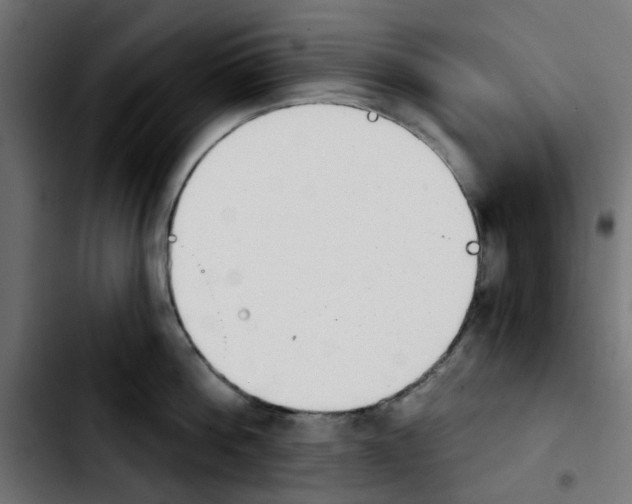 X0000103930812200810311516