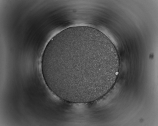 X0000103930813200810311516