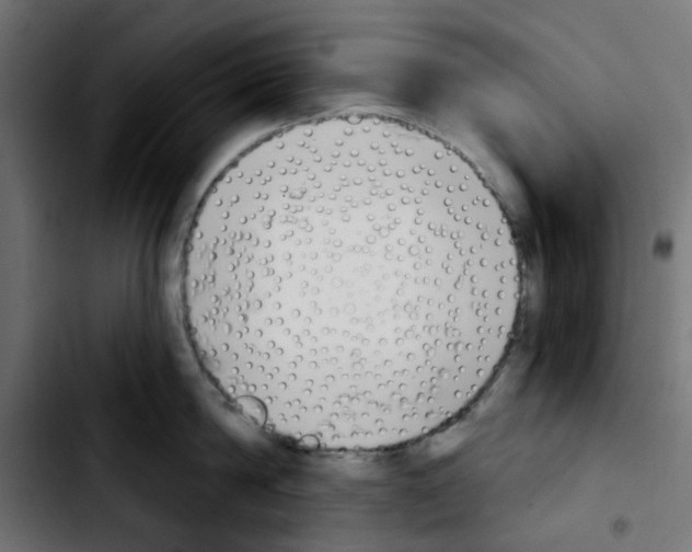 X0000103930814200810311516