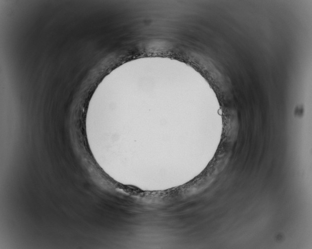 X0000103930817200810311515