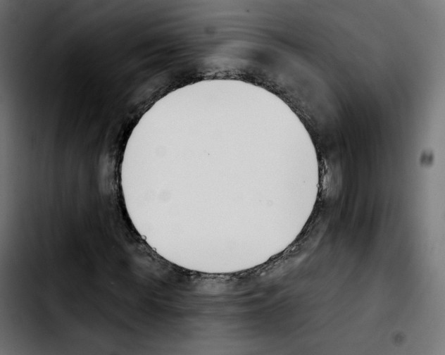 X0000103930819200810311515