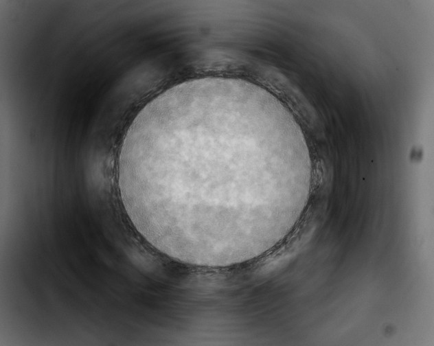 X0000103930820200810311515