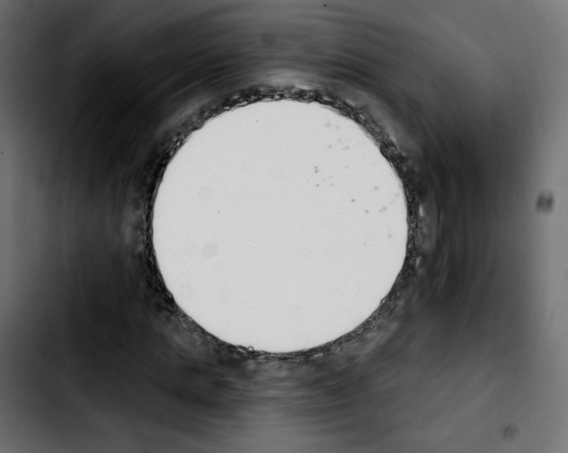 X0000103930821200810311515