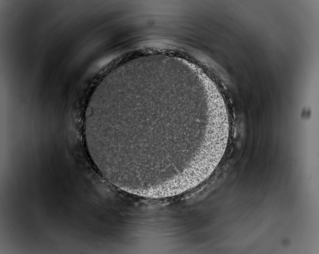 X0000103930822200810311515