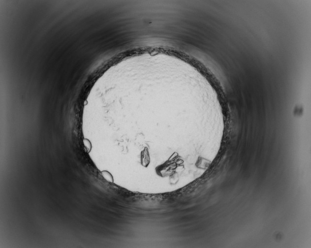 X0000103930823200810311515