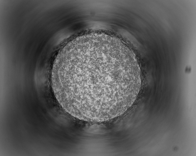 X0000103930824200810311515