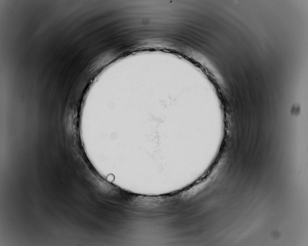 X0000103930825200810311515