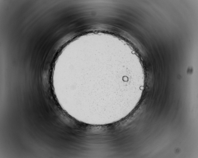 X0000103930826200810311515