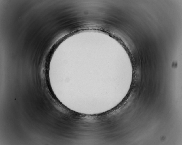 X0000103930827200810311515