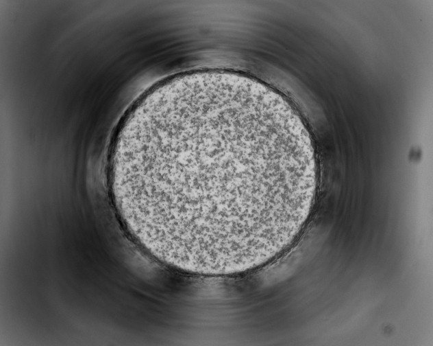 X0000103930828200810311515