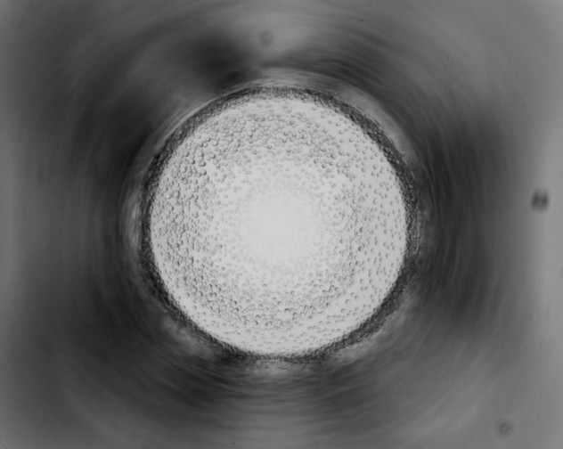 X0000103930829200810311515