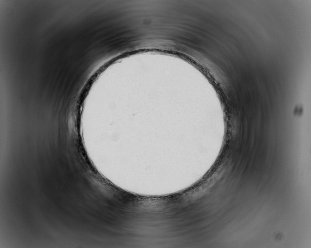 X0000103930830200810311515