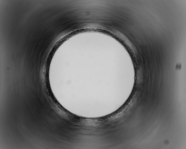 X0000103930831200810311515
