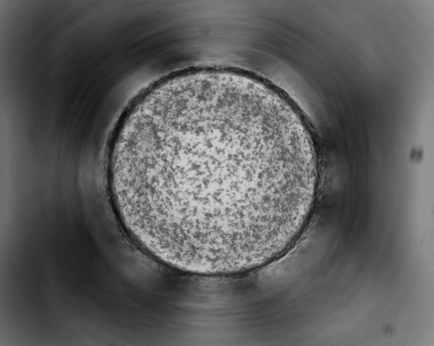 X0000103930832200810311515