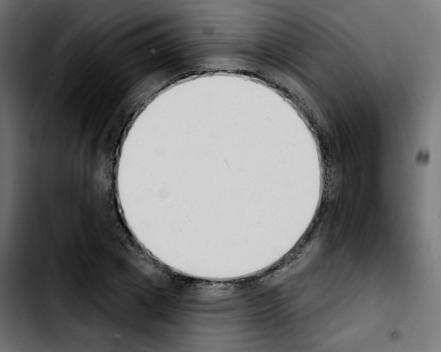 X0000103930833200810311515