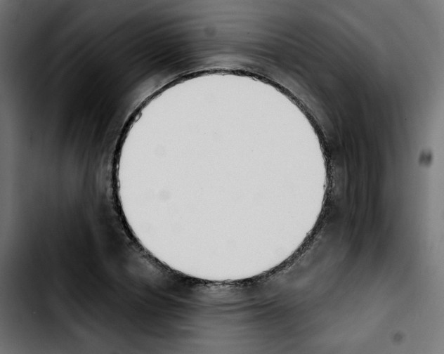 X0000103930834200810311515