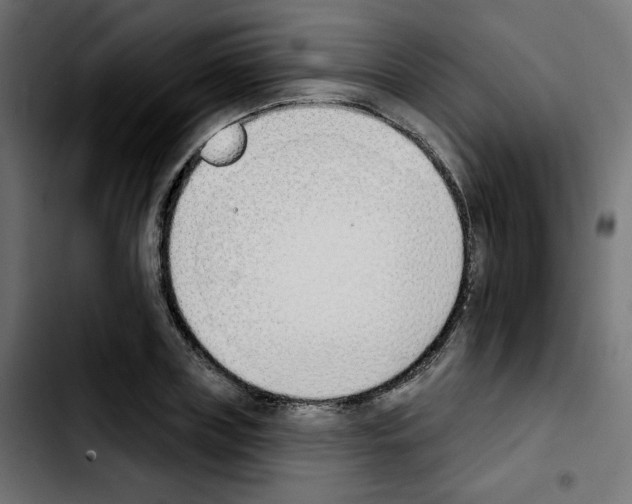 X0000103930835200810311515