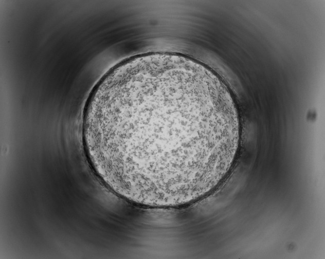 X0000103930836200810311515