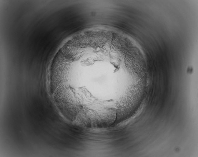X0000103930837200810311515
