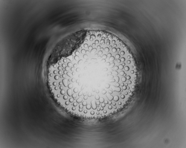 X0000103930838200810311515