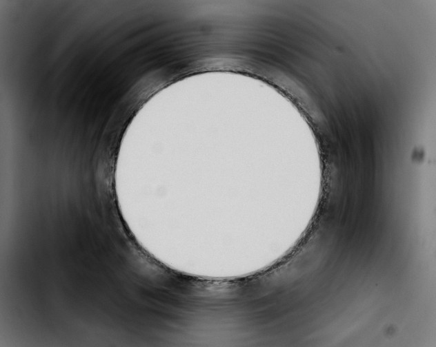 X0000103930841200810311515