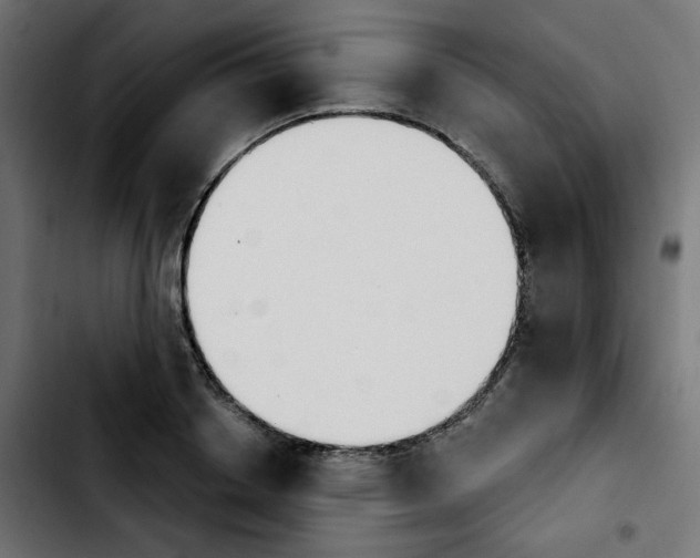 X0000103930842200810311515