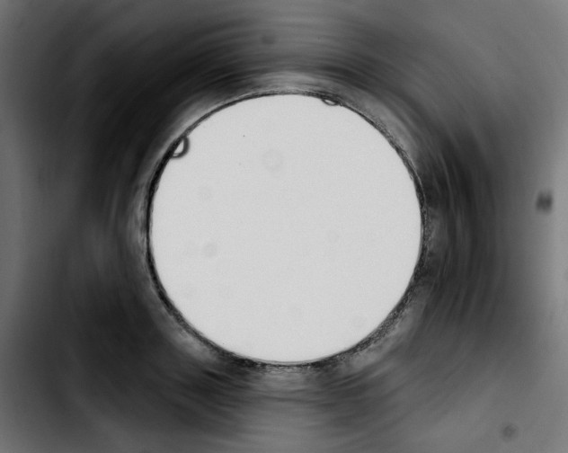 X0000103930843200810311515