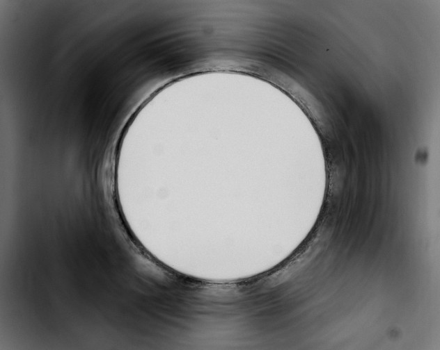X0000103930844200810311515