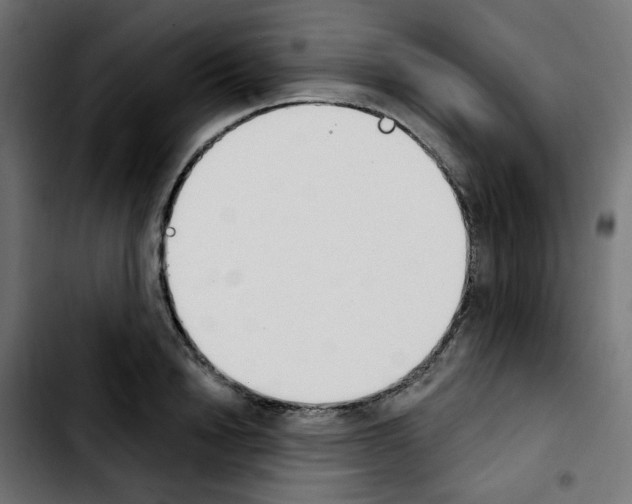 X0000103930846200810311515