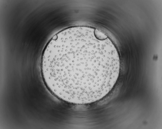 X0000103930847200810311515