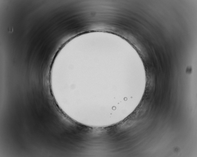 X0000103930848200810311515