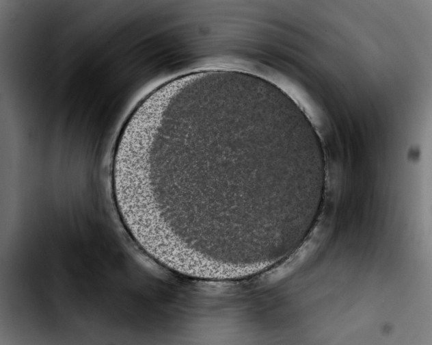X0000103930854200810311515