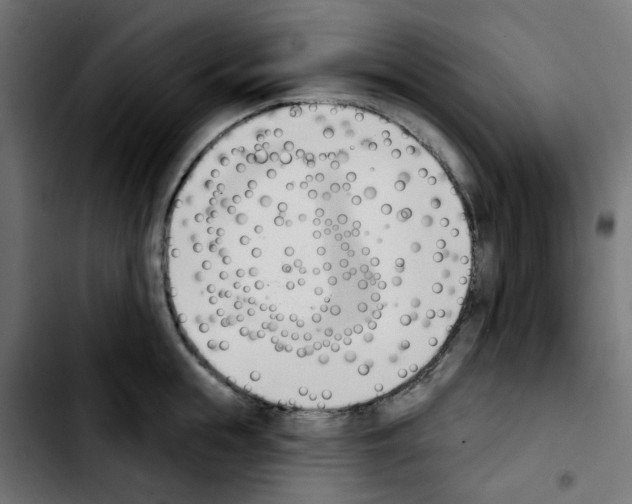 X0000103930855200810311515