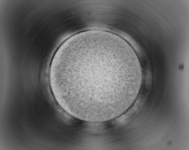 X0000103930856200810311515