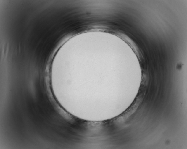 X0000103930859200810311515