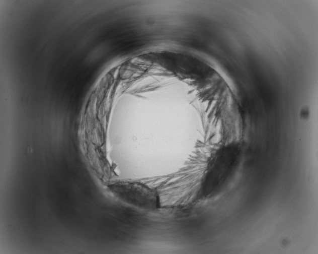 X0000103930861200810311516