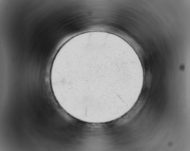 X0000103930862200810311516