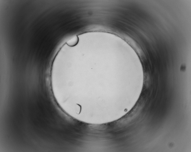 X0000103930863200810311516