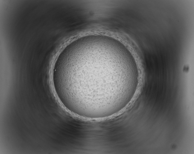 X0000103930865200810311515