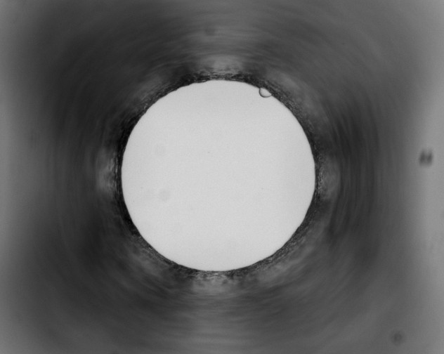 X0000103930866200810311515