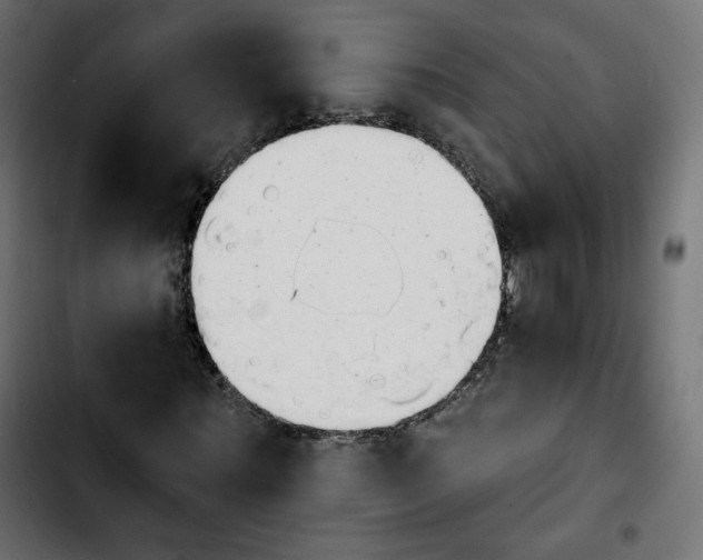 X0000103930867200810311515