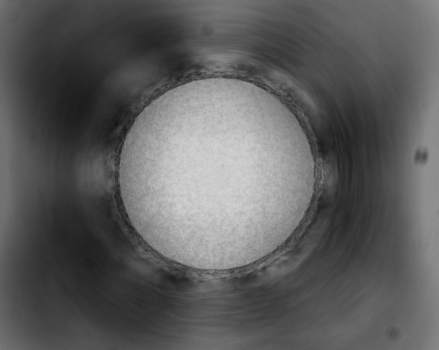 X0000103930868200810311515