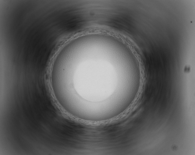 X0000103930869200810311515