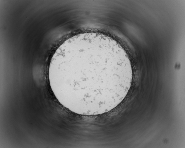X0000103930870200810311515