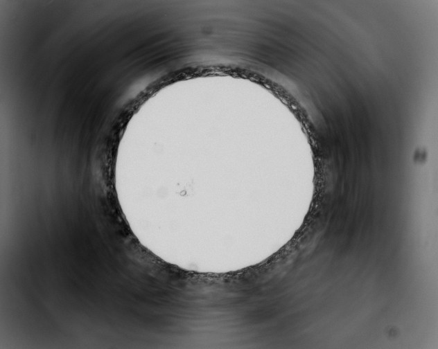 X0000103930871200810311515