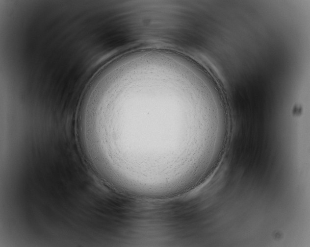 X0000103930873200810311515