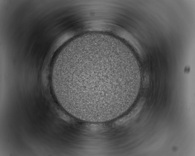 X0000103930874200810311515