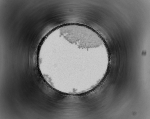 X0000103930877200810311515