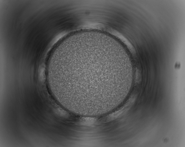 X0000103930878200810311515