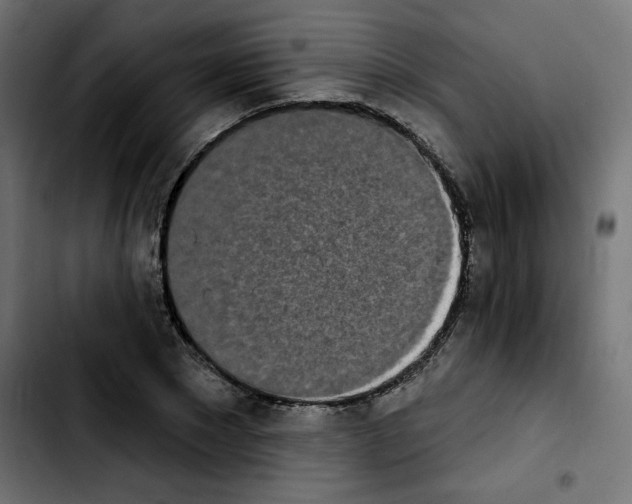 X0000103930881200810311515